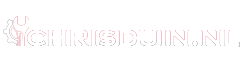 chrisduin.nl